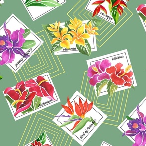 large - Tropical Floral Postcards-asparagus green