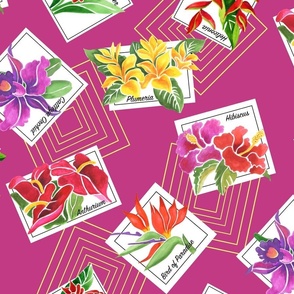 large -Tropical Floral Postcards-dk. fuscia