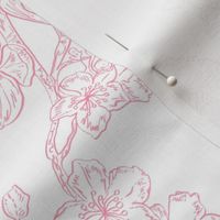 Apple blossoms in pink ink 