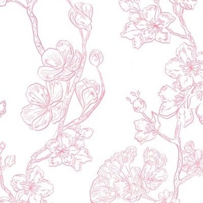 Apple blossoms in pink ink 