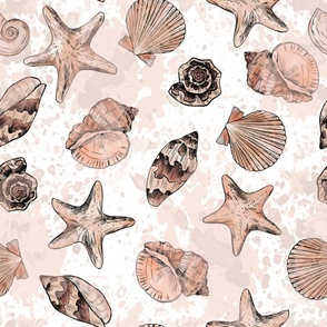 Watercolor seashells 