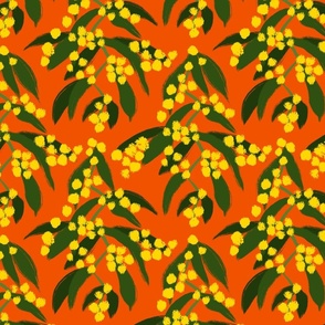Zigzag Wattle - Australian Flora on Orange 