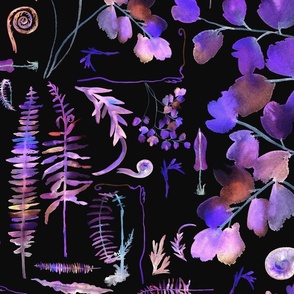 Airy ferns (purple in black)