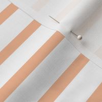 (L) breton stripes peach fuzz Large scale