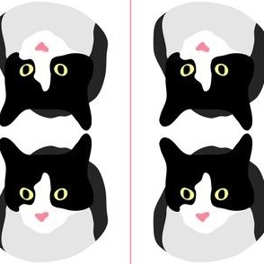 Mirrored Tuxie Cat with Pink Pinstripes