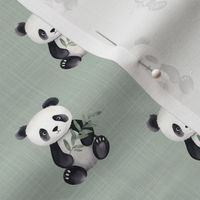Smaller Baby Panda Bears on Soft Sage Crosshatch
