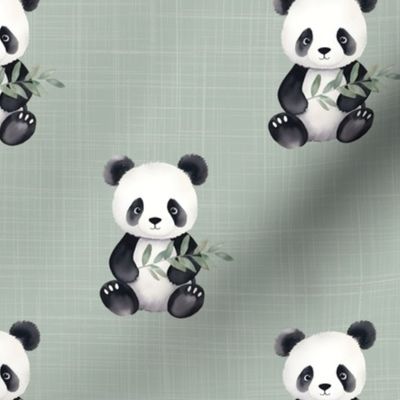 Bigger Baby Panda Bears on Soft Sage Crosshatch