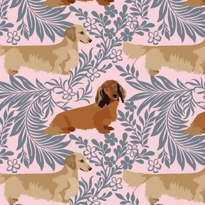 Long Haired Dachshunds with small flowers and leaves pink 