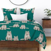 Large - Grey and White Cats  on Teal - Sweet Kitties