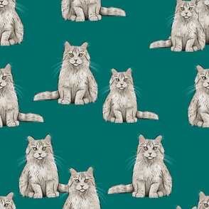 Large - Grey and White Cats  on Teal - Sweet Kitties