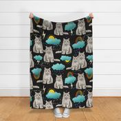 Large - Sweet Kitties - Grey and White Cats with Rainbows, Clouds, and Sunshine on Blackboard