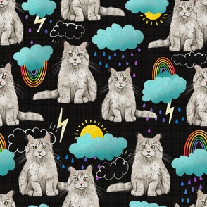 Large - Sweet Kitties - Grey and White Cats with Rainbows, Clouds, and Sunshine on Blackboard