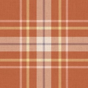 BenMoore 2024 Plaid Topaz  MEDIUM SCALE