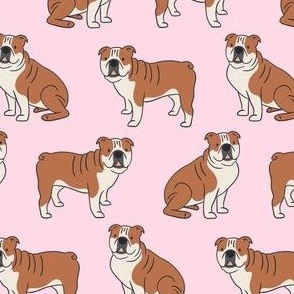 English bulldogs on Paste Pink Background