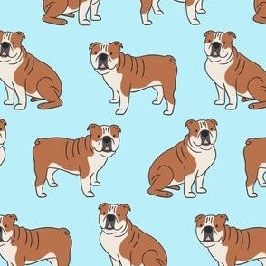 English bulldogs on sky blue