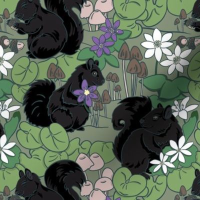 Black Squirrels in the Forest