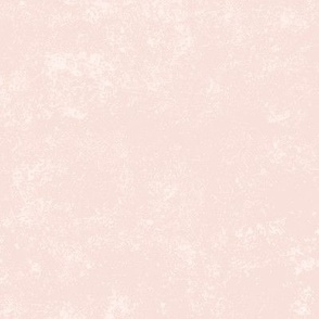 Boho Blush Pink Tumbled Stone Textured Solid Coordinate  #f8e1da