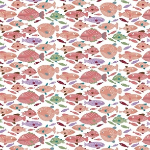 School of Spiral Fish [red on white] small