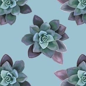 [Small] Succulent Model1 Simple on vintage teal