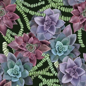 [Large] Hand Painted Succulents Plants on dark green