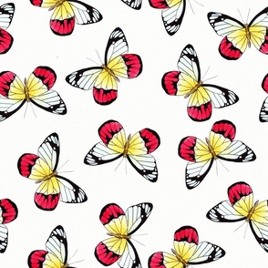 Butterflies yellow red black on white