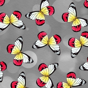Butterflies yellow red black on grey