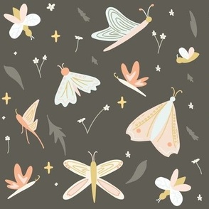 colorful moths butterflies dragonflies lightning bugs on charcoal black enchanted forest