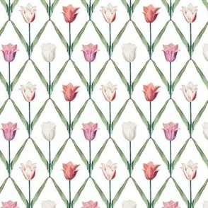 Tulips all pink-medium