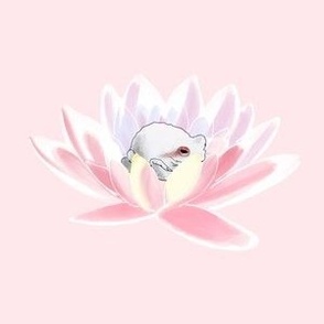 Pink lotus frog