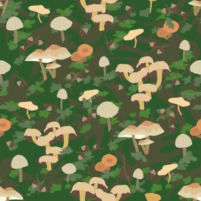Fungi Forest Biome