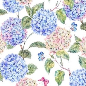 Blue and white hydrangea, watercolor botanica - M
