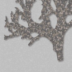 Lichen in Granite: 3