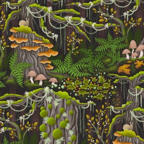 Forest Fungi_large