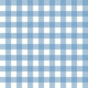 French Blue Gingham Small Scale