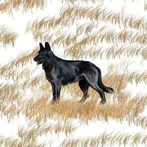 Black German Shepherd Dog on Frostbitten Grass for Pillow