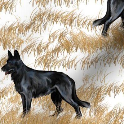Black German Shepherd Dog on Frostbitten Grass