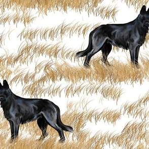 Black German Shepherd Dog on Frostbitten Grass