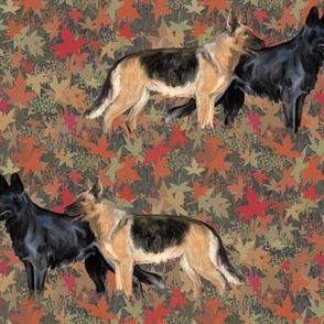 Black and Black and Tan German Shepherd Dogs on Autumn Leaves