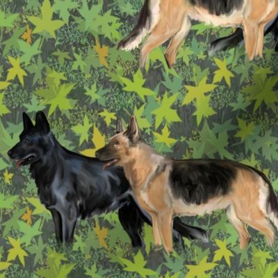 Black and Black and Tan German Shepherd Dogs on Green Leaves