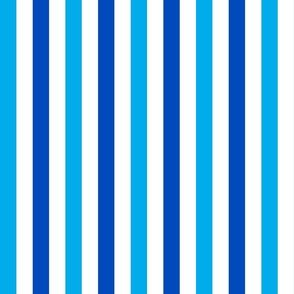 Bar Harbor 1 Inch Vertical Summer Awning Stripes in Blue and White