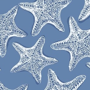 Starfish-Blue