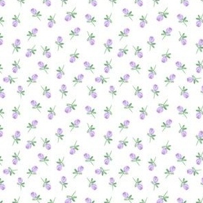 tiny gauche rosebuds / lavender