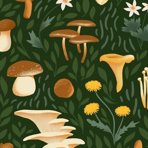 Mushrooms and leaves on the forest floor