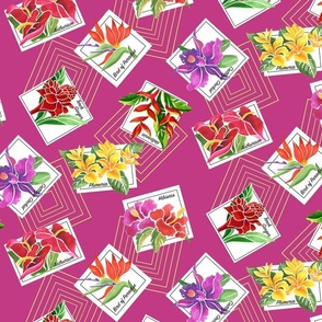 medium -Tropical Floral Postcards-dk. fuscia