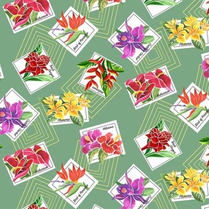 medium -Tropical_Floral_Postcards -asparagus_green