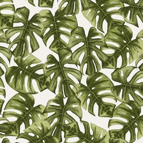 Monstera leaves watercolor on cream white - large scale