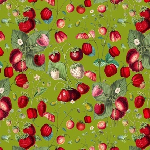 Historical Watercolor Strawberry Flower Meadow- Nostalgic Strawberries Spring Garden  apple green