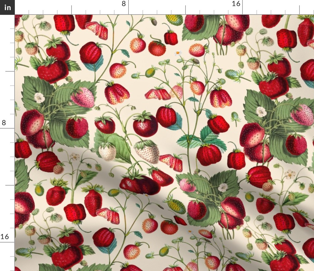 Historical Watercolor Strawberry Flower Meadow- Nostalgic Strawberries Spring Garden  cream
