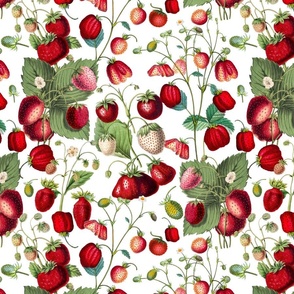 Historical Watercolor Strawberry Flower Meadow- Nostalgic Strawberries Spring Garden  white