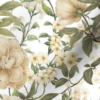 Bellarosa - romantic roses on white